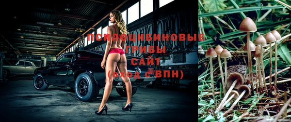 дурь Пролетарск